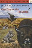 Cover art for ONE DAY IN THE PRAIRIE
