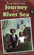 Cover art for JOURNEY TO THE RIVER SEA