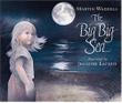 Cover art for THE BIG BIG SEA