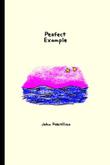 Cover art for PERFECT EXAMPLE