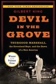 Cover art for DEVIL IN THE GROVE