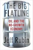 Cover art for THE BIG FLATLINE