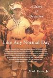 Cover art for LIKE ANY NORMAL DAY