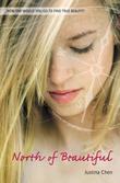 Cover art for NORTH OF BEAUTIFUL