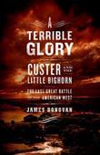 Cover art for A TERRIBLE GLORY