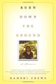 Cover art for BURN DOWN THE GROUND