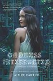 Cover art for GODDESS INTERRUPTED