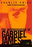 Cover art for THE INTERROGATION OF GABRIEL JAMES