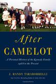 Cover art for AFTER CAMELOT
