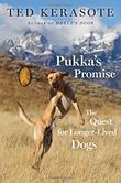 Cover art for PUKKA'S PROMISE