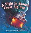 Cover art for A NIGHT IN SANTA'S GREAT BIG BAG