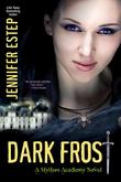 Cover art for DARK FROST