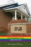 Cover art for PRAY THE GAY AWAY
