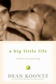 Cover art for A BIG LITTLE LIFE