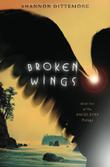 Cover art for BROKEN WINGS