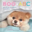Cover art for BOO ABC