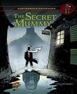 Cover art for THE SECRET MUMMY