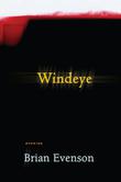 Cover art for WINDEYE