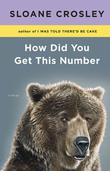 Cover art for HOW DID YOU GET THIS NUMBER