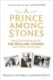Cover art for A PRINCE AMONG STONES