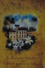 Cover art for A VALLEY IN ITALY