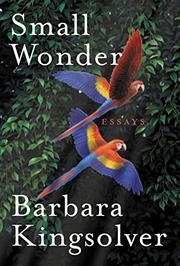Cover art for SMALL WONDER