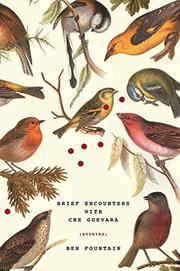 Book Cover for BRIEF ENCOUNTERS WITH CHE GUEVARA