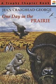 Cover art for ONE DAY IN THE PRAIRIE