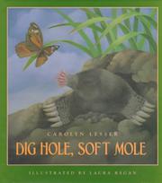Cover art for DIG HOLE, SOFT MOLE