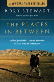Book Cover for THE PLACES IN BETWEEN