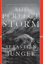Cover art for THE PERFECT STORM