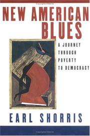 Book Cover for NEW AMERICAN BLUES
