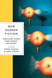 Cover art for NEW SUDDEN FICTION