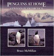Book Cover for PENGUINS AT HOME