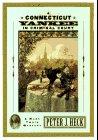 Book Cover for A CONNECTICUT YANKEE IN CRIMINAL COURT
