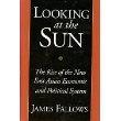 Book Cover for LOOKING AT THE SUN