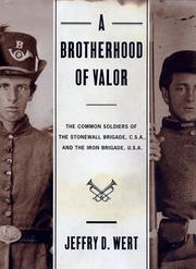 Cover art for A BROTHERHOOD OF VALOR