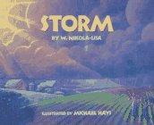 Cover art for STORM