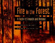 Cover art for FIRE IN THE FOREST