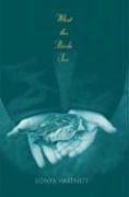Book Cover for WHAT THE BIRDS SEE