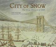 Cover art for CITY OF SNOW