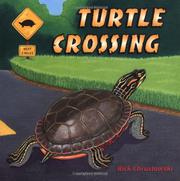 Cover art for TURTLE CROSSING