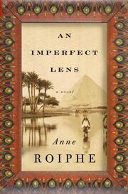 Cover art for AN IMPERFECT LENS