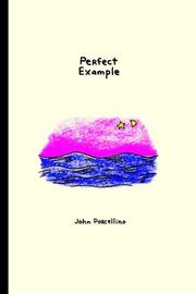 Cover art for PERFECT EXAMPLE