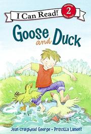 Book Cover for GOOSE AND DUCK