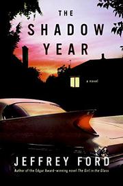 Cover art for THE SHADOW YEAR