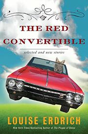 Book Cover for THE RED CONVERTIBLE