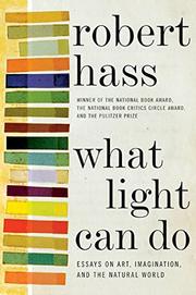 Cover art for WHAT LIGHT CAN DO
