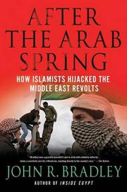Cover art for AFTER THE ARAB SPRING