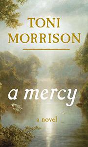 Cover art for A MERCY